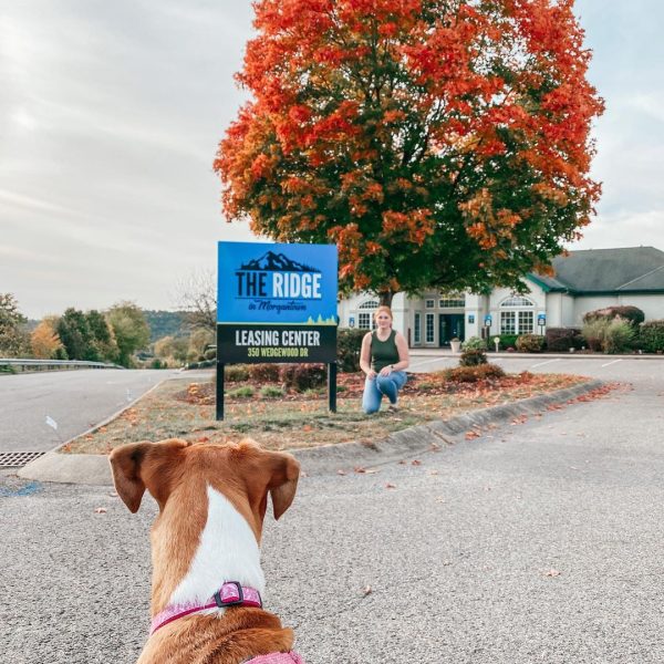 the-ridge-instagram-21 the-ridge-instagram-21